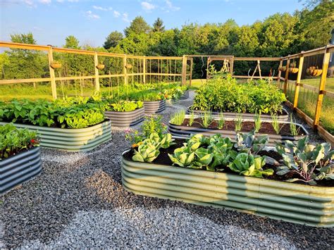 sprout box garden canada